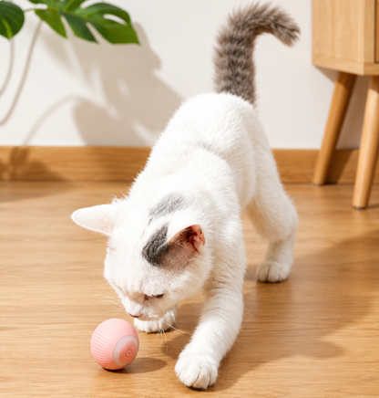 PounceBall