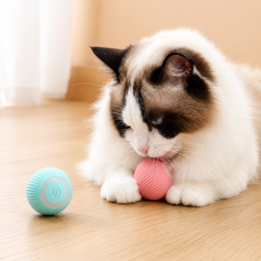 PounceBall