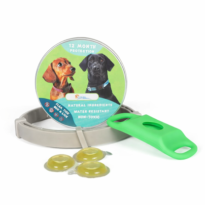 Natuurlijke Insectenbeschermer Voor Katten