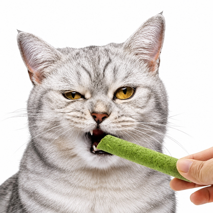 CatNibble™ Kattengras Kauwsticks