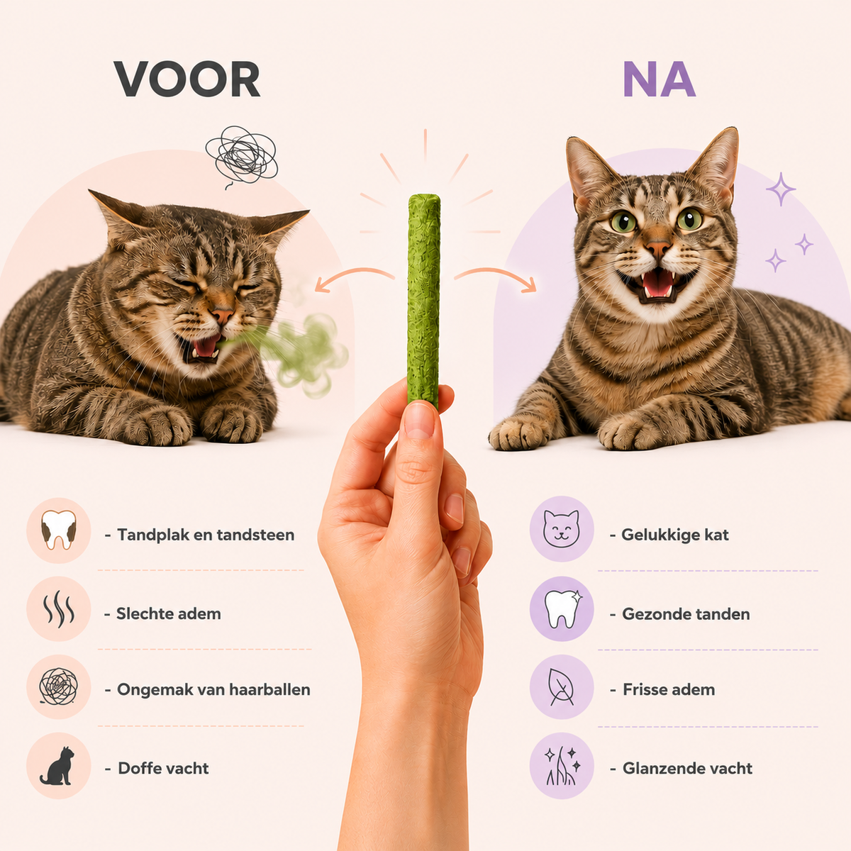 CatNibble™ Kattengras Kauwsticks