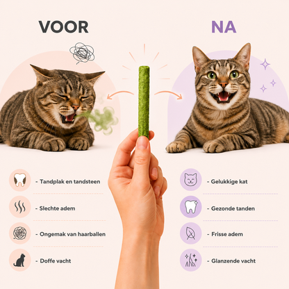 CatNibble™ Kattengras Kauwsticks