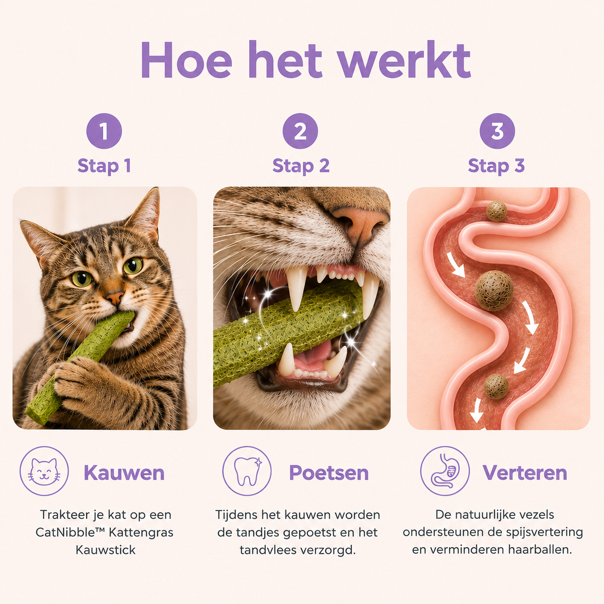 CatNibble™ Kattengras Kauwsticks