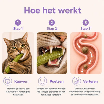 CatNibble™ Kattengras Kauwsticks