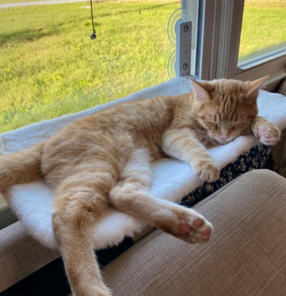 Inklapbare Kattenhangmat